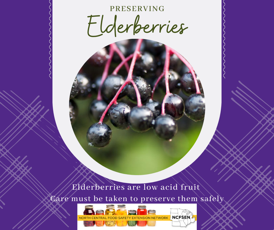 Elderberries