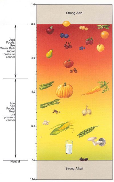 FOOD PRESERVING: HOW TO CHECK pH FOR CANNING